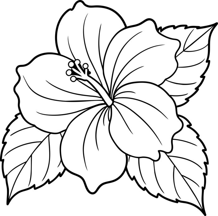 Muallim Cotton Tee – Image 3