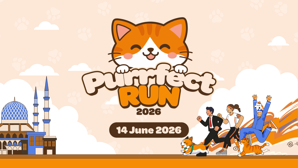 PERRFECT RUN 2026 banner